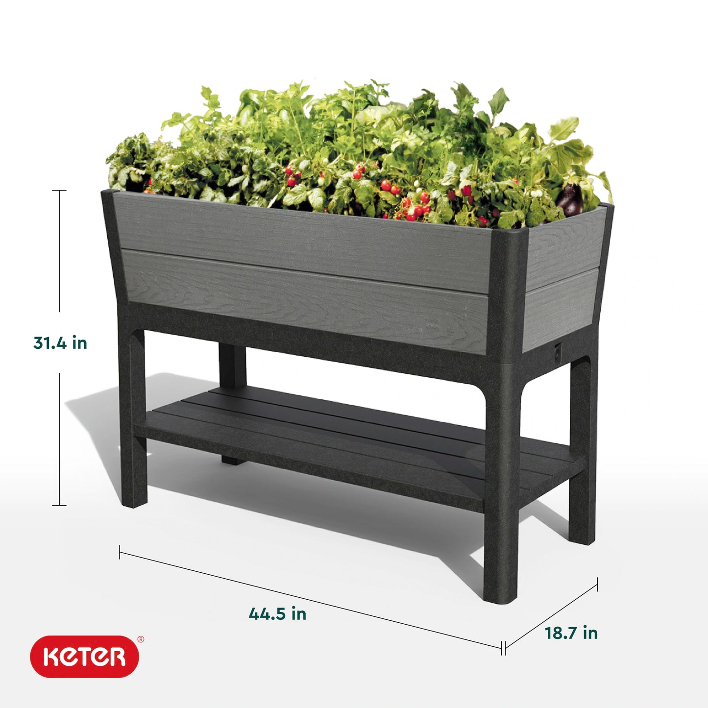 Keter Darwin 29 Gallon Raised Garden Bed and Self Watering Planter Box