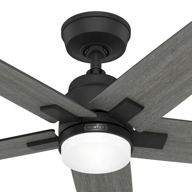 Hunter Rapidan LED 52" Ceiling Fan