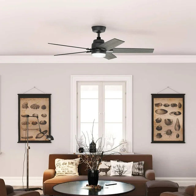 Hunter Rapidan LED 52" Ceiling Fan