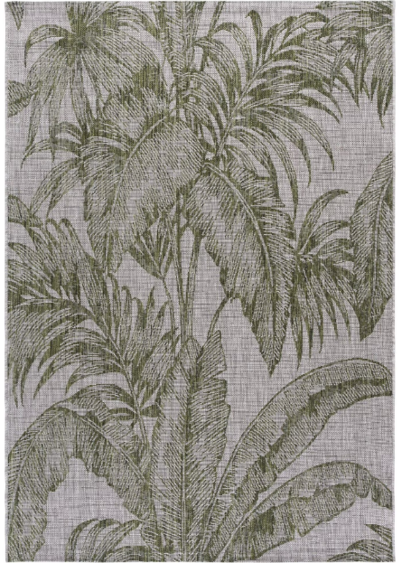 RESORT 5 X 8 ARECA