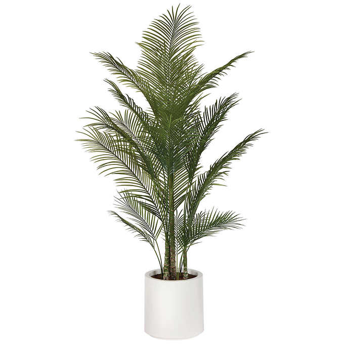 46 in. x 46 in. x 77.9 in. - Faux Palm Tree 2 m (6.5 ft.)