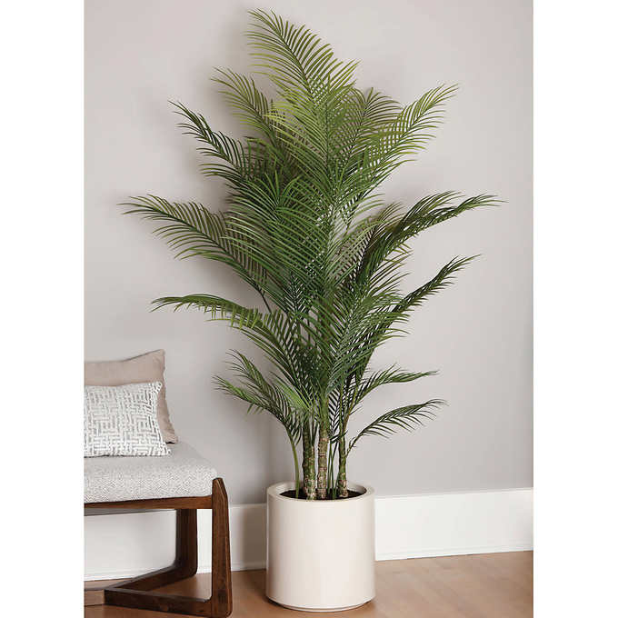 46 in. x 46 in. x 77.9 in. - Faux Palm Tree 2 m (6.5 ft.)