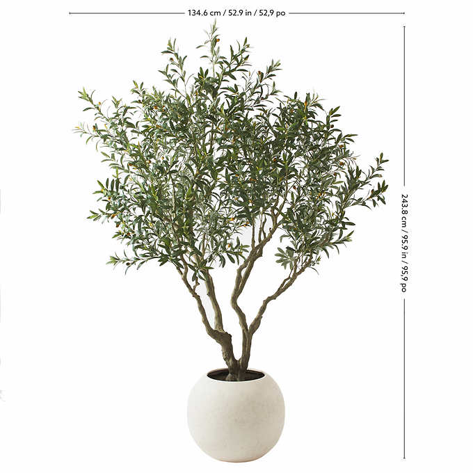 71.9” L x 52.9” W x 95.9” H - Faux 8’ Olive Tree