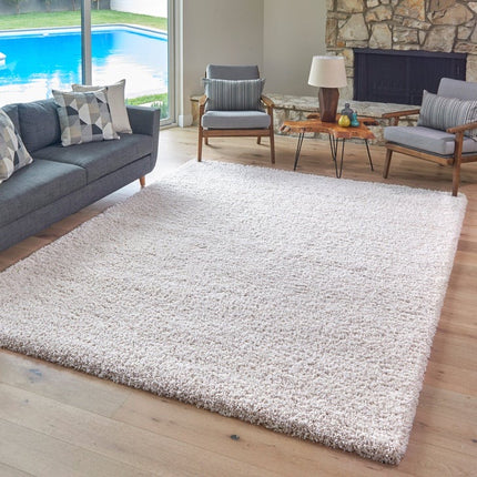 TV SHAG SILVER 6'6X9'6